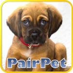 Logo of PairPet android Application 