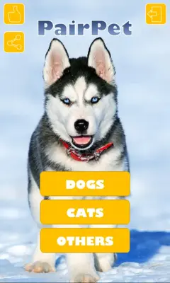 PairPet android App screenshot 3